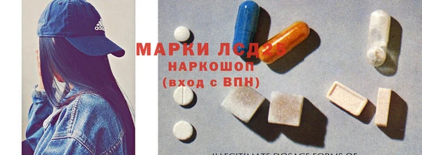 ПСИЛОЦИБИНОВЫЕ ГРИБЫ Зерноград