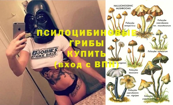 ПСИЛОЦИБИНОВЫЕ ГРИБЫ Зерноград