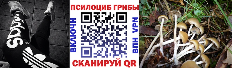 Галлюциногенные грибы Psilocybe  Купить  Инта 